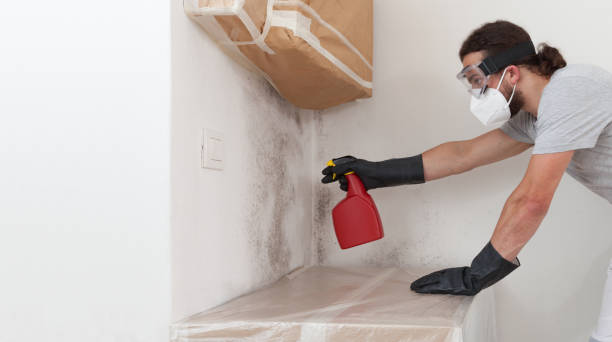Professional Attic Mold Remediation technician working in Denville, NJ