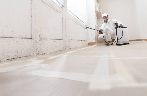 24/7 Emergency Attic Mold Remediation experts in Denville, NJ